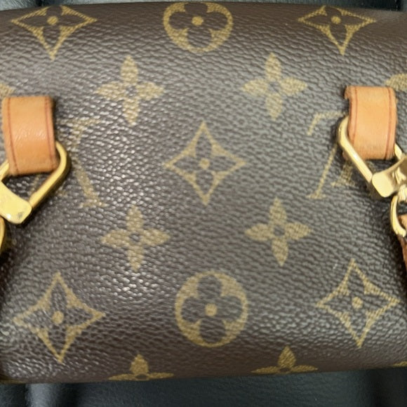 Louis Vuitton Florentine pouchette belt bag /crossbody