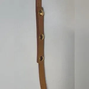 Louis Vuitton Monogram Pochette Florentine Belt Bag