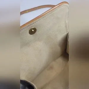 Louis Vuitton Monogram Pochette Florentine Belt Bag
