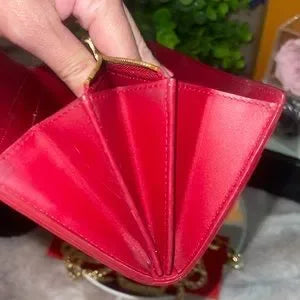 Louis Vuitton Vernis Sara wallet with insert & crossbody chain π