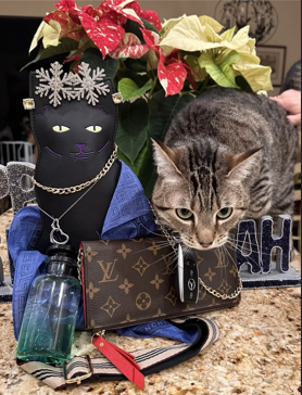 "LILLY PURRLITZER"