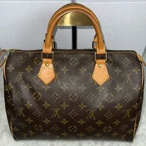Louis Vuitton Speedy 30