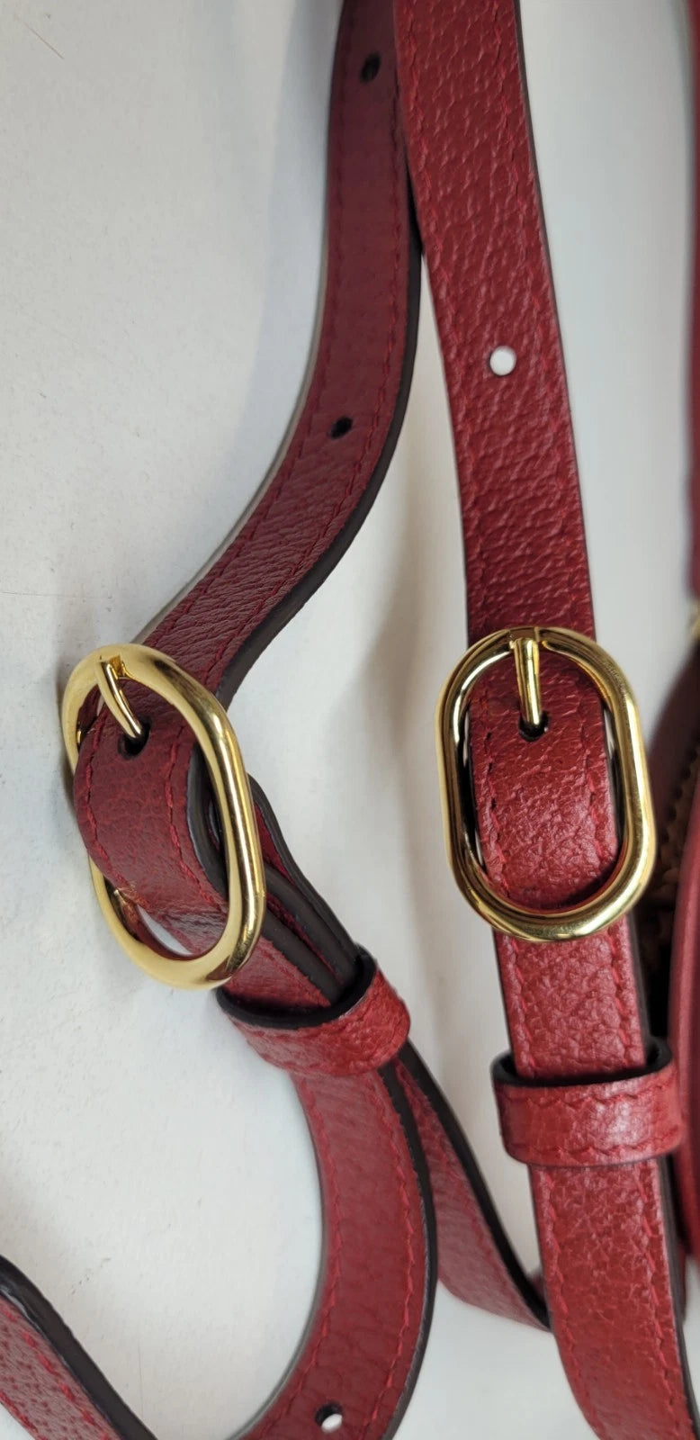 Gucci Ophidia Flora Mini Backpack